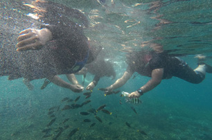 Local Trip to Pulau Redang