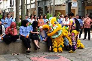 Chinese New Year 2026 – Festive Lion Dance Performance (HQ)