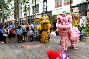 Chinese New Year 2026 – Festive Lion Dance Performance (HQ)
