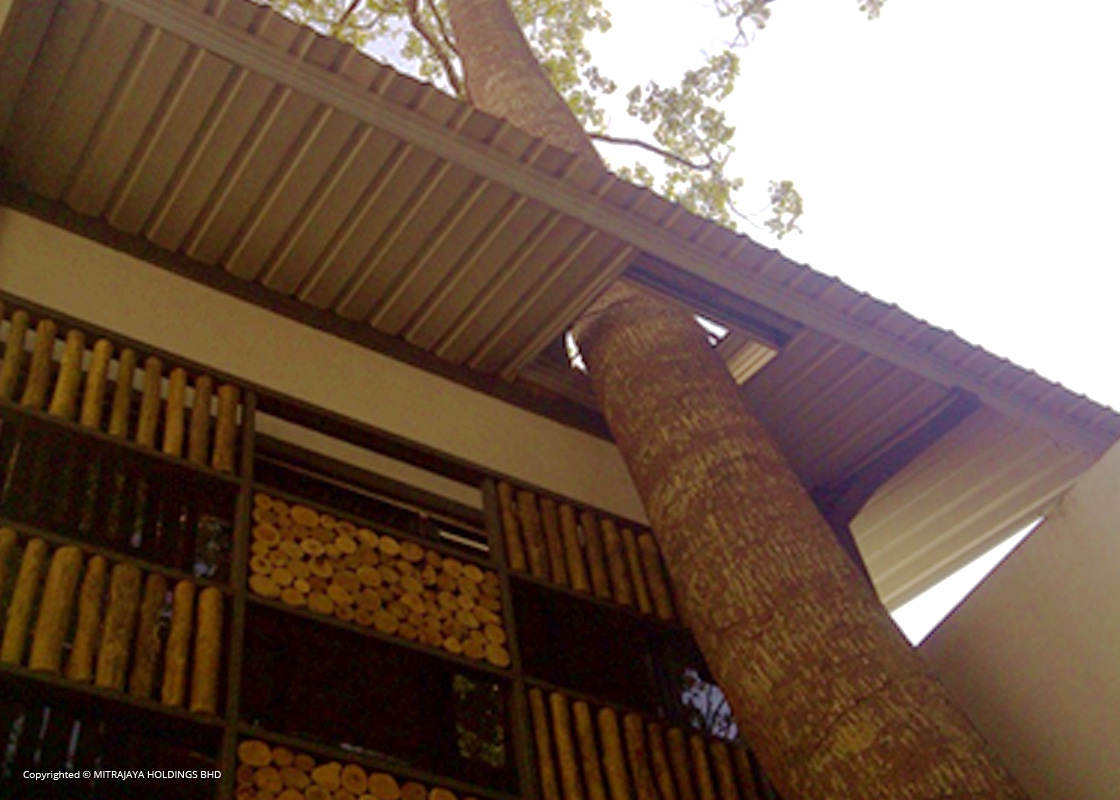 Tasik Chini Research Station